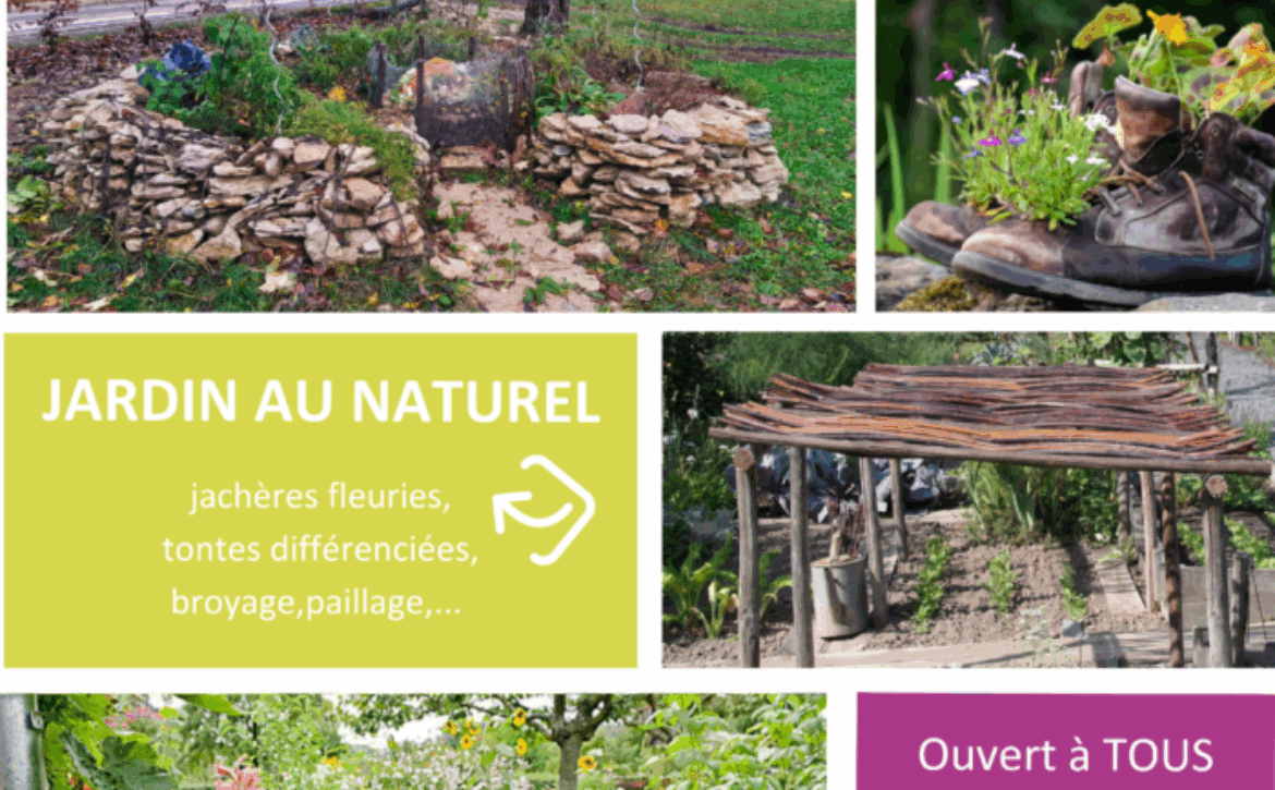 Affiche-concours-photos-2024-700×465