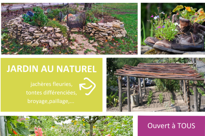 Affiche-concours-photos-2024-700×465