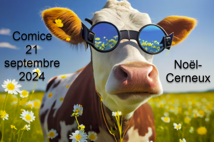 Comice-2024-noel-cerneux